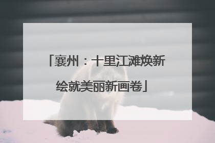 襄州：十里江滩焕新 绘就美丽新画卷