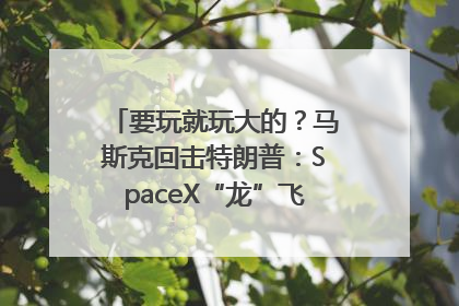 要玩就玩大的？马斯克回击特朗普：SpaceX“龙”飞船将立即退役！