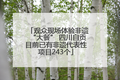 观众现场体验非遗“大餐” 四川自贡目前已有非遗代表性项目243个