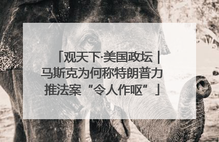 观天下·美国政坛｜马斯克为何称特朗普力推法案“令人作呕”