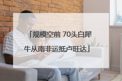 规模空前 70头白犀牛从南非运抵卢旺达
