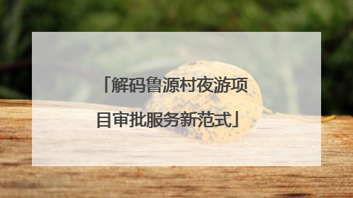 解码鲁源村夜游项目审批服务新范式