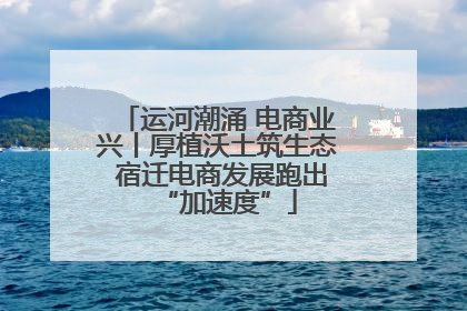 运河潮涌 电商业兴丨厚植沃土筑生态 宿迁电商发展跑出“加速度”