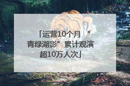运营10个月 “青绿湖影”累计观演超10万人次
