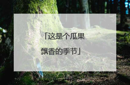 这是个瓜果飘香的季节