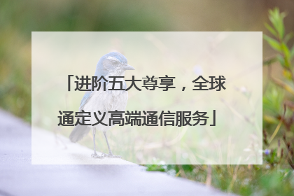 进阶五大尊享，全球通定义高端通信服务