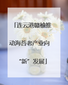 连云港赣榆推动海苔老产业向“新”发展