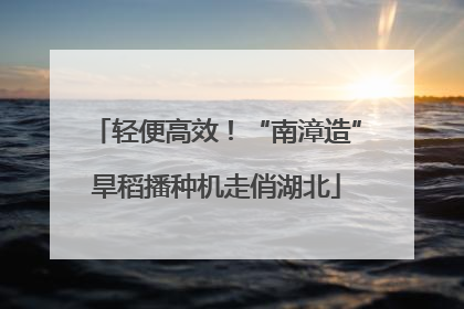 轻便高效！“南漳造”旱稻播种机走俏湖北