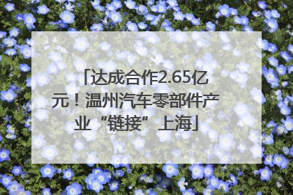 达成合作2.65亿元！温州汽车零部件产业“链接”上海