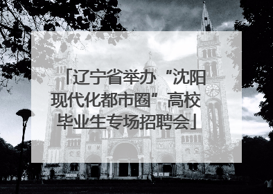 辽宁省举办“沈阳现代化都市圈”高校毕业生专场招聘会