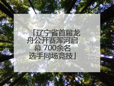 辽宁省首届龙舟公开赛浑河启幕 700余名选手同场竞技
