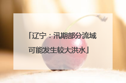 辽宁：汛期部分流域可能发生较大洪水