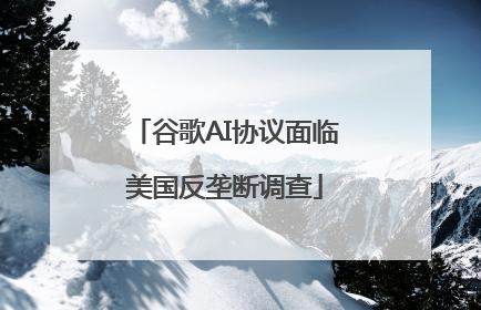 谷歌AI协议面临美国反垄断调查