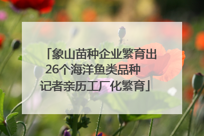 象山苗种企业繁育出26个海洋鱼类品种 记者亲历工厂化繁育
