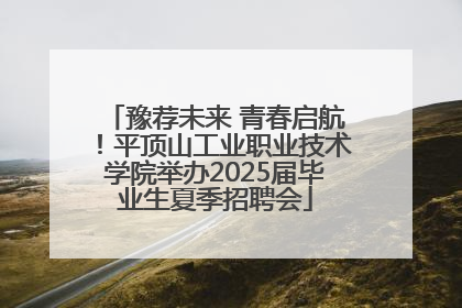 豫荐未来 青春启航！平顶山工业职业技术学院举办2025届毕业生夏季招聘会
