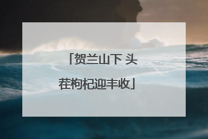 贺兰山下 头茬枸杞迎丰收