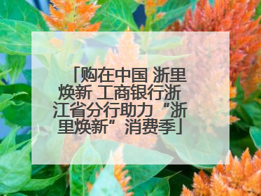 购在中国 浙里焕新 工商银行浙江省分行助力“浙里焕新”消费季