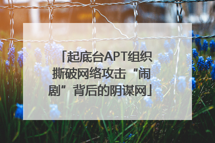 起底台APT组织 撕破网络攻击“闹剧”背后的阴谋网