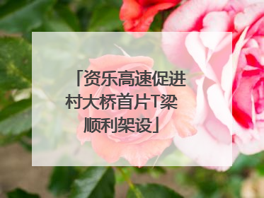 资乐高速促进村大桥首片T梁顺利架设