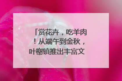 赏花卉，吃羊肉！从端午到金秋，叶榭镇推出丰富文旅活动邀您爽玩