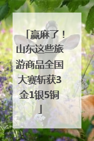 赢麻了！山东这些旅游商品全国大赛斩获3金1银5铜