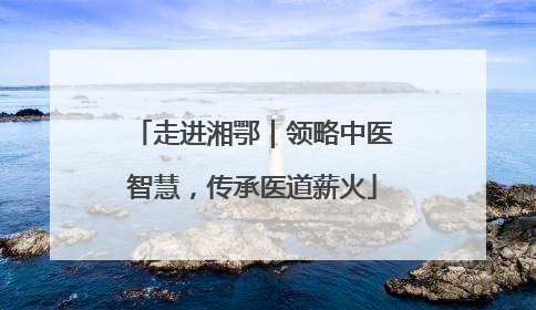 走进湘鄂｜领略中医智慧，传承医道薪火