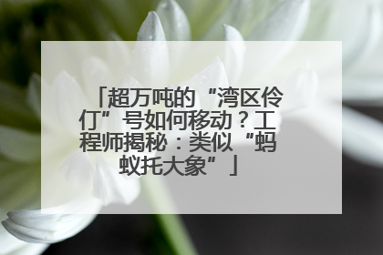 超万吨的“湾区伶仃”号如何移动？工程师揭秘：类似“蚂蚁托大象”