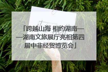 跨越山海 相约湖南——湖南文旅展厅亮相第四届中非经贸博览会