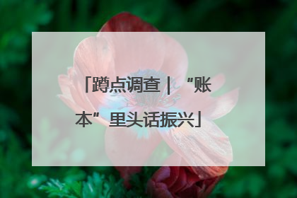 蹲点调查｜“账本”里头话振兴