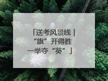 送考风景线｜“旗”开得胜 一举夺“葵”