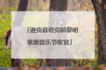逊克县奇克镇黎明草原音乐节收官