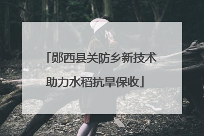 郧西县关防乡新技术助力水稻抗旱保收