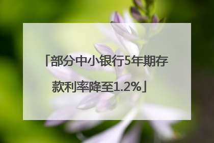 部分中小银行5年期存款利率降至1.2%