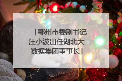 鄂州市委副书记汪小波出任湖北大数据集团董事长