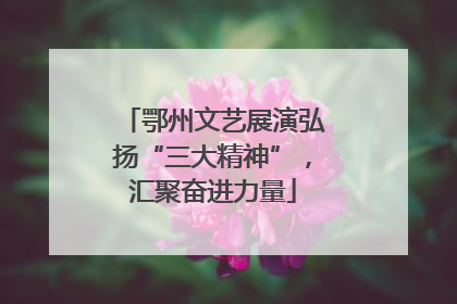 鄂州文艺展演弘扬“三大精神”，汇聚奋进力量