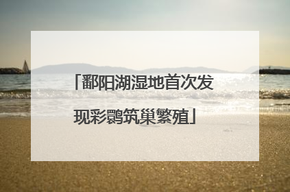 鄱阳湖湿地首次发现彩鹮筑巢繁殖