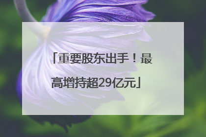 重要股东出手！最高增持超29亿元
