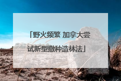 野火频繁 加拿大尝试新型撒种造林法