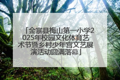 金寨县梅山第一小学2025年校园文化体育艺术节暨乡村少年宫文艺展演活动圆满落幕