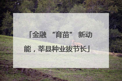 金融 “育苗” 新动能，莘县种业拔节长