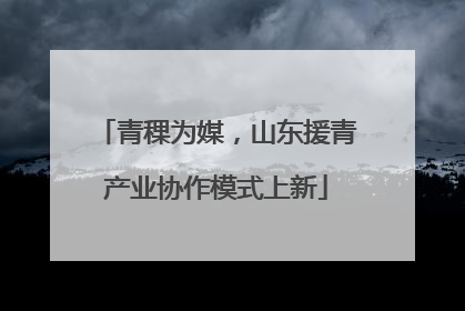 青稞为媒,山东援青产业协作模式上新