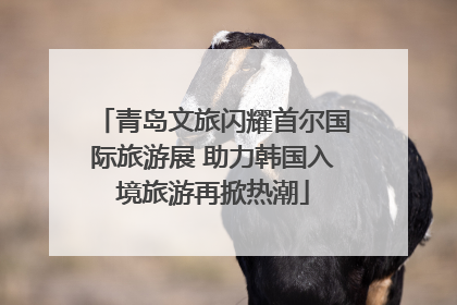 青岛文旅闪耀首尔国际旅游展 助力韩国入境旅游再掀热潮