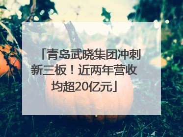 青岛武晓集团冲刺新三板！近两年营收均超20亿元