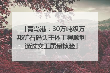 青岛港：30万吨级万邦矿石码头主体工程顺利通过交工质量核验
