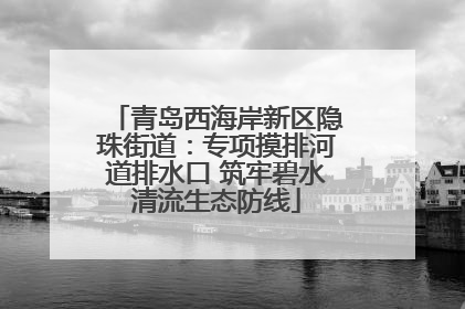 青岛西海岸新区隐珠街道：专项摸排河道排水口 筑牢碧水清流生态防线