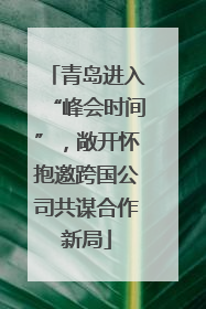 青岛进入“峰会时间”，敞开怀抱邀跨国公司共谋合作新局