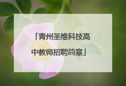 青州圣维科技高中教师招聘简章
