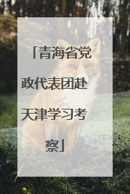 青海省党政代表团赴天津学习考察