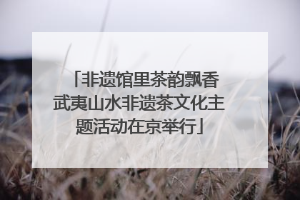 非遗馆里茶韵飘香 武夷山水非遗茶文化主题活动在京举行