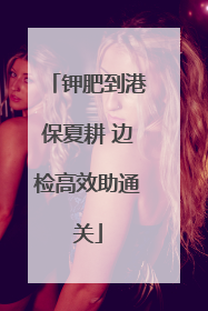 钾肥到港保夏耕 边检高效助通关